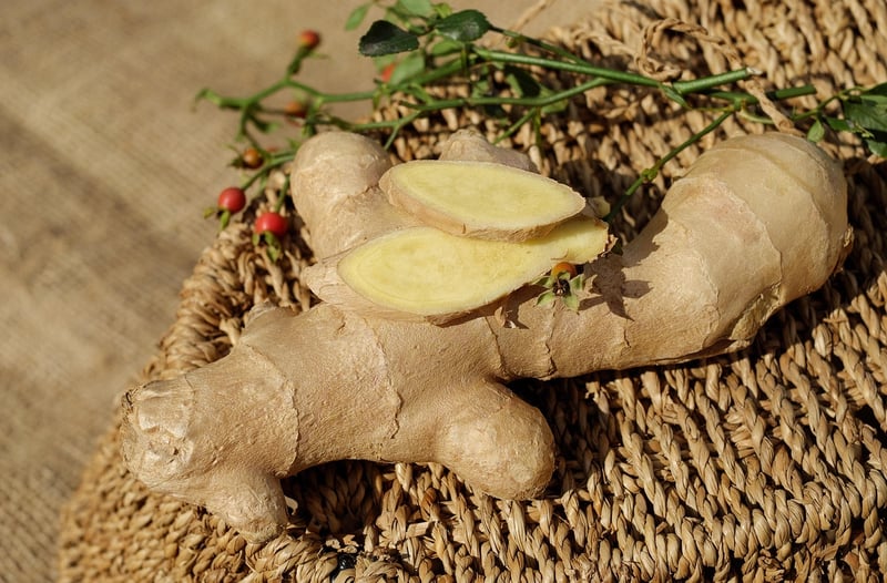 Roots Redefined