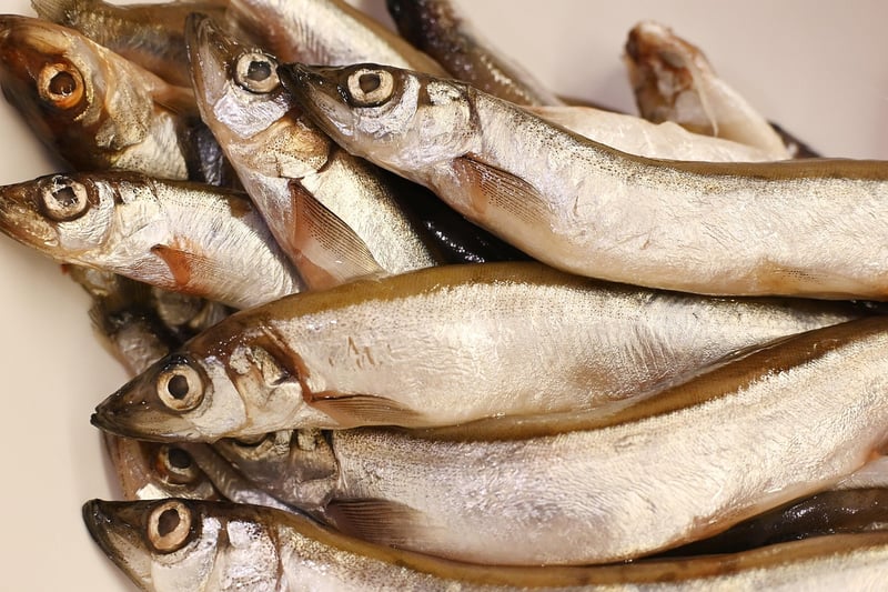 Experimental Cuisine